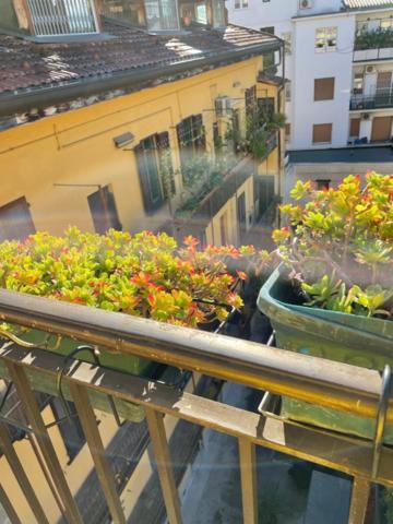 Appartamento Bomboniera Via Marghera 37 Milán Exterior foto